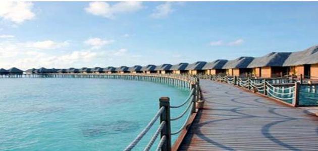 جزيرة فرسان بجيزان