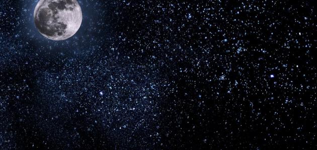 حقائق علمية غريبة حقائق علمية غريبة