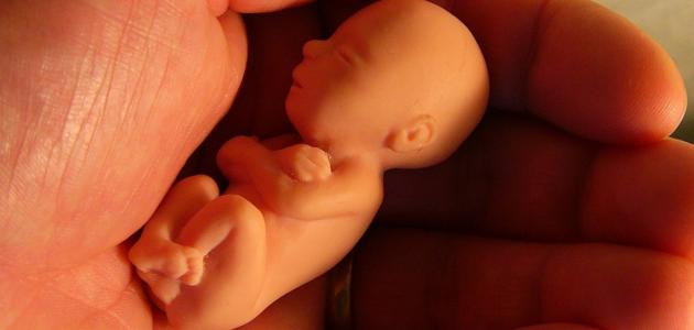 حكم الصلاة على السقط