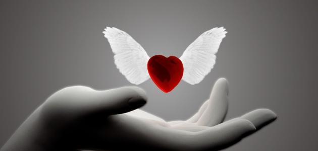 حكم عن الحب والحياة حكم عن الحب والحياة