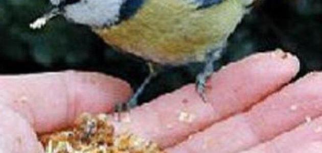 حكم عن الرحمة حكم عن الرحمة