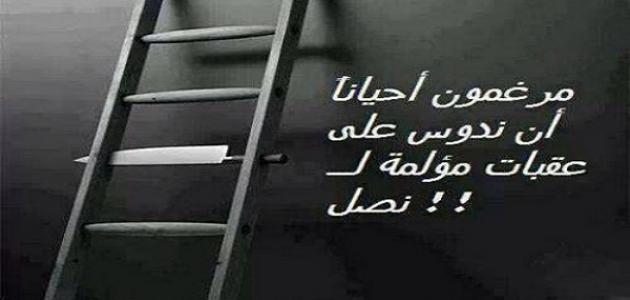 حكم عن العلم والنجاح حكم عن العلم والنجاح