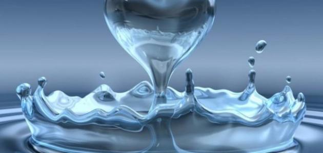 حكم عن القلب حكم عن القلب