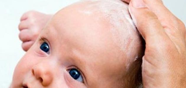 حلق شعر المولود حلق شعر المولود