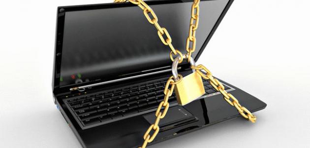 حماية البيانات