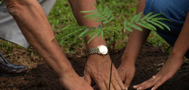 حماية الطبيعة حماية الطبيعة