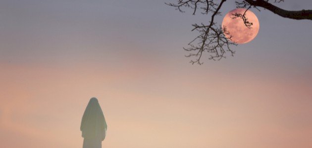 حياة فاطمة الزهراء حياة فاطمة الزهراء