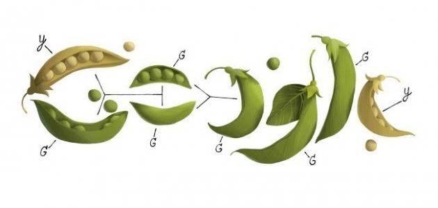 حياة مندل عالم الوراثة