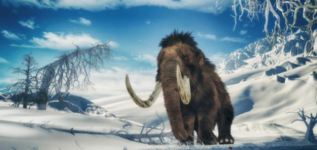 حيوان الماموث حيوان الماموث