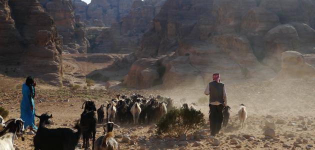 خصائص المجتمع البدوي خصائص المجتمع البدوي