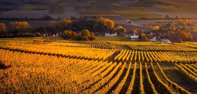 خصائص المجتمع الريفي خصائص المجتمع الريفي