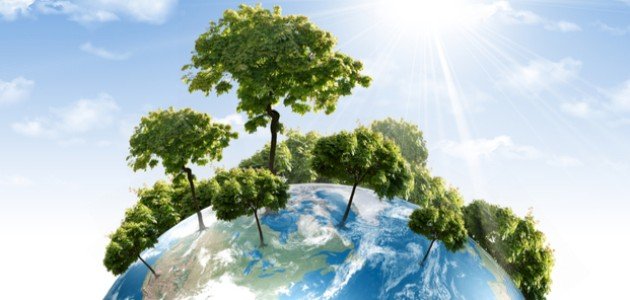 خصائص النظام البيئي