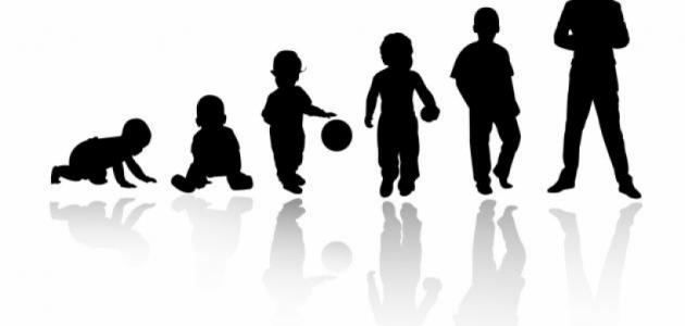 خصائص مراحل النمو المعرفي