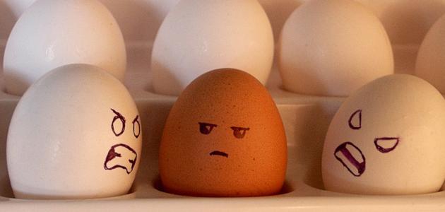 خواطر كره خواطر كره