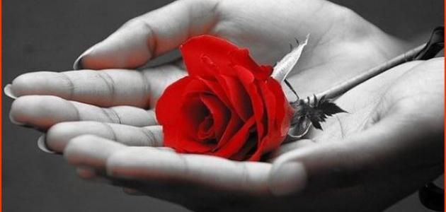 خواطر مؤثرة جداً