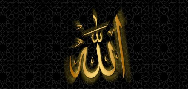 دلائل وجود الله عز وجل دلائل وجود الله عز وجل