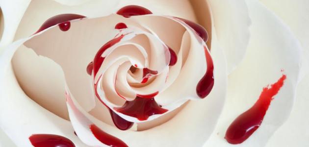 رسائل عن غدر الصحاب