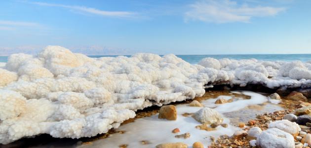 سبب تسمية البحر الميت سبب تسمية البحر الميت