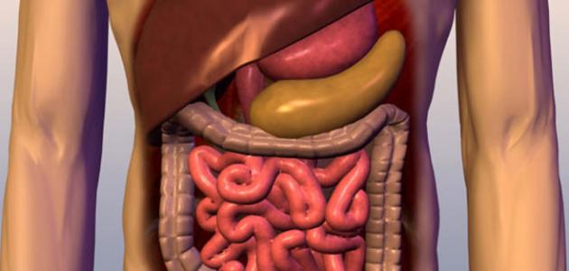 سرطان الجهاز الهضمي