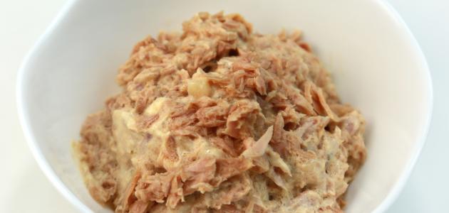 سلطة التونة بالمايونيز سلطة التونة بالمايونيز