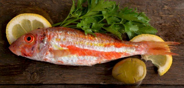 سمك سلطان ابراهيم سمك سلطان ابراهيم