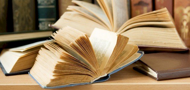 سيرة الإمام النسائي