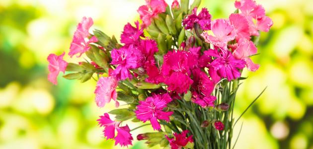 شعر جميل جدا شعر جميل جدا