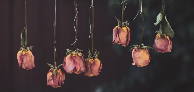 شعر حزين قصير عن الحب شعر حزين قصير عن الحب