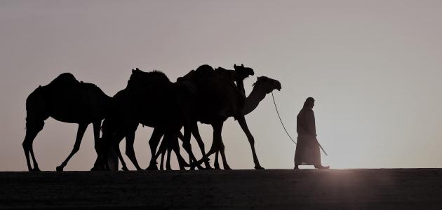 شعر عن الهجرة النبوية شعر عن الهجرة النبوية