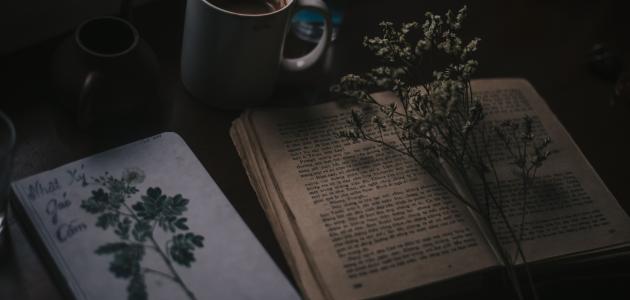 شعر عن خيبة الأمل بالحبيب شعر عن خيبة الأمل بالحبيب