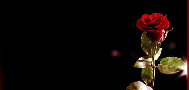 شعر قصير حزين شعر قصير حزين