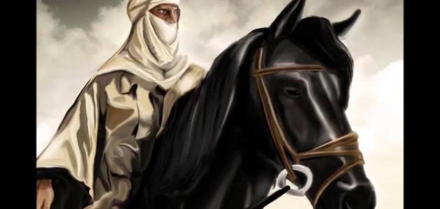 صفات عنترة بن شداد صفات عنترة بن شداد