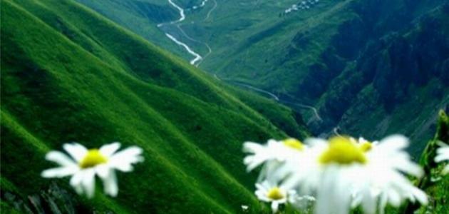 صفات نهر الكوثر صفات نهر الكوثر