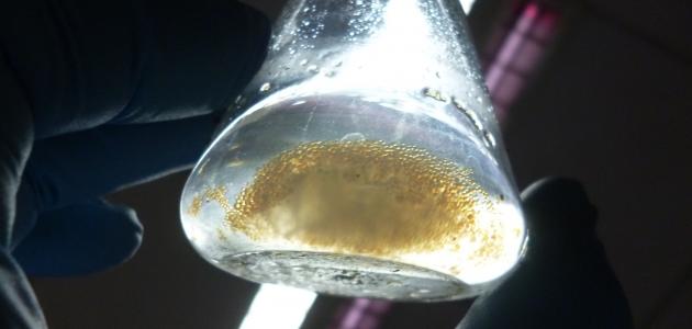 صنع الديزل الحيوي من زيت المائدة صنع الديزل الحيوي من زيت المائدة