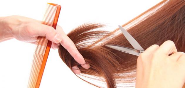 طرق الاهتمام بالشعر طرق الاهتمام بالشعر