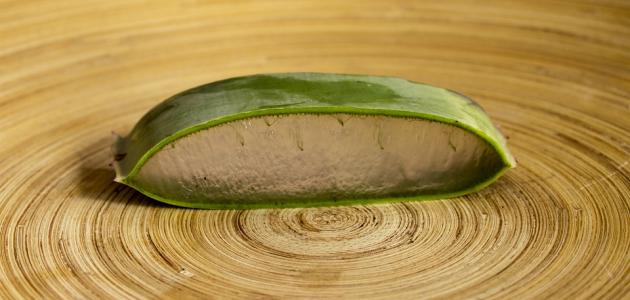 طرق العناية بالبشرة الدهنية طبيعياً طرق العناية بالبشرة الدهنية طبيعياً