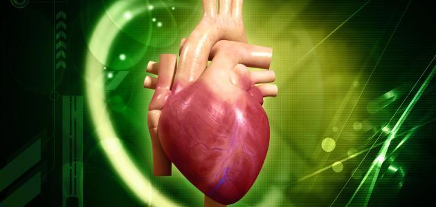 طرق الوقاية من أمراض القلب طرق الوقاية من أمراض القلب