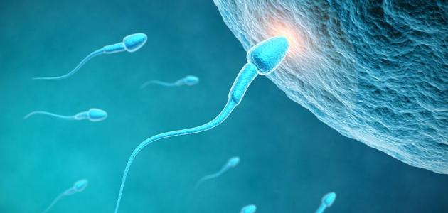 طرق تساعد على الحمل طرق تساعد على الحمل