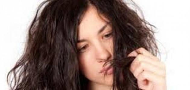 طرق علاج الشعر الجاف طرق علاج الشعر الجاف