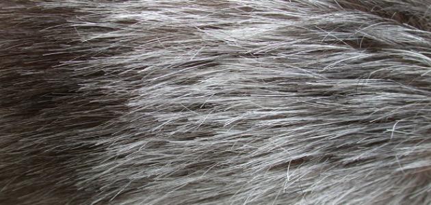 طرق لإزالة الشيب من الشعر نهائياً طرق لإزالة الشيب من الشعر نهائياً