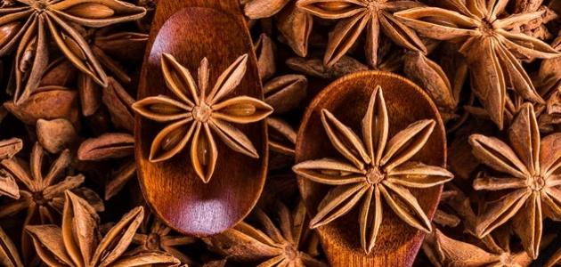 طريقة استخدام اليانسون النجمي طريقة استخدام اليانسون النجمي