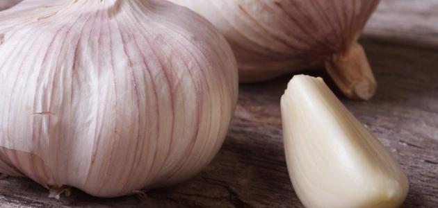 طريقة الثوم لإنبات الشعر طريقة الثوم لإنبات الشعر