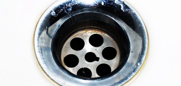 طريقة القضاء على الصراصير في المجاري