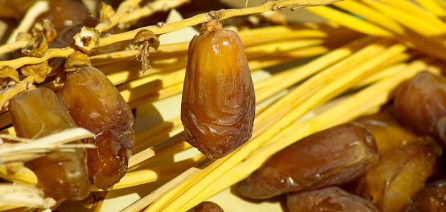 طريقة تجفيف الرطب طريقة تجفيف الرطب