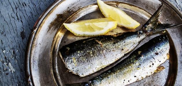 طريقة تحضير السردين في الفرن طريقة تحضير السردين في الفرن