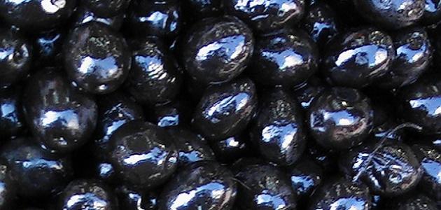 طريقة تخزين الزيتون الأسود طريقة تخزين الزيتون الأسود