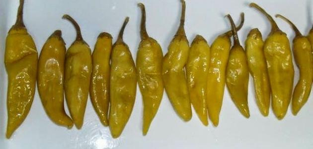 طريقة تخليل الفلفل الحار طريقة تخليل الفلفل الحار