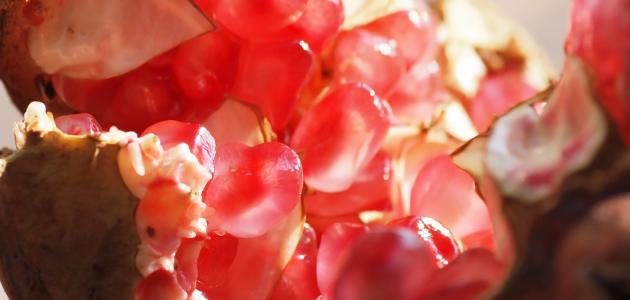 طريقة تقشير الرمان طريقة تقشير الرمان