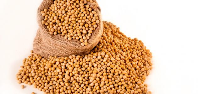 طريقة تناول فول الصويا طريقة تناول فول الصويا