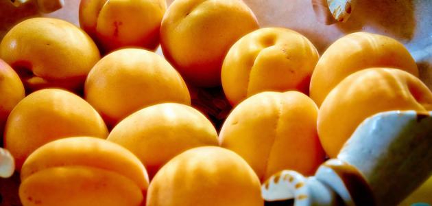 طريقة حفظ المشمش طريقة حفظ المشمش